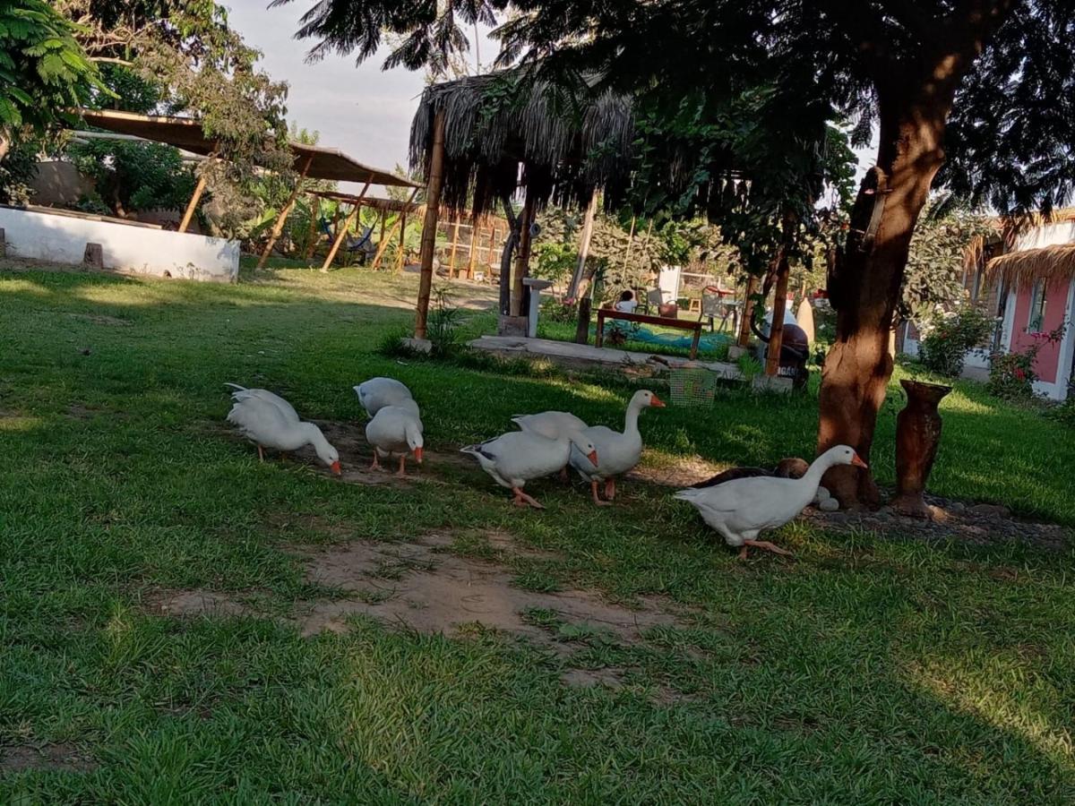 La Vina De Oscar Guest House Nuevo Imperial Luaran gambar