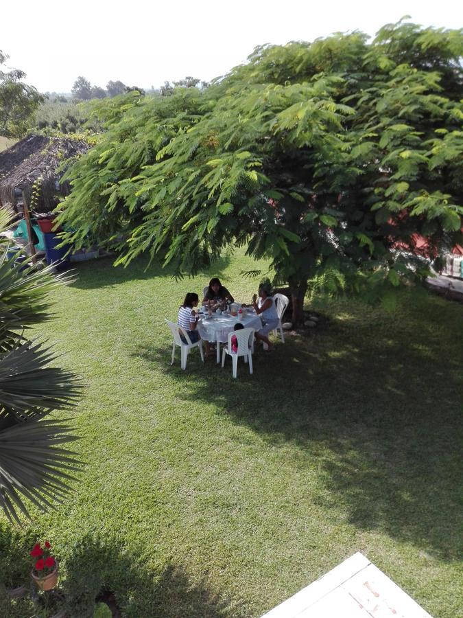 La Vina De Oscar Guest House Nuevo Imperial Luaran gambar